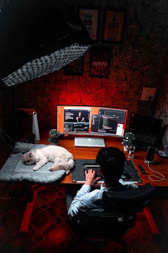 our-experience Man working on a computer at a desk with a sleeping cat and dual monitors in a dim office setting.
